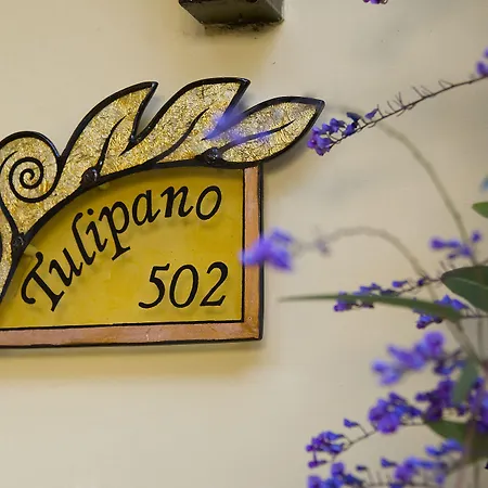 فندق غاردن 3*