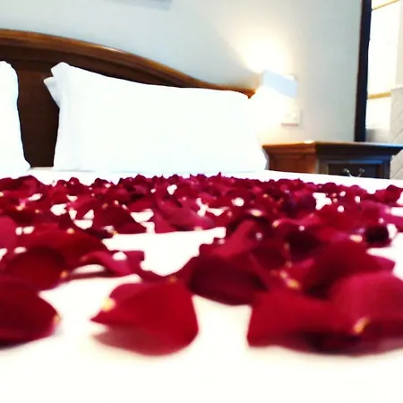 Otel Garden 3*